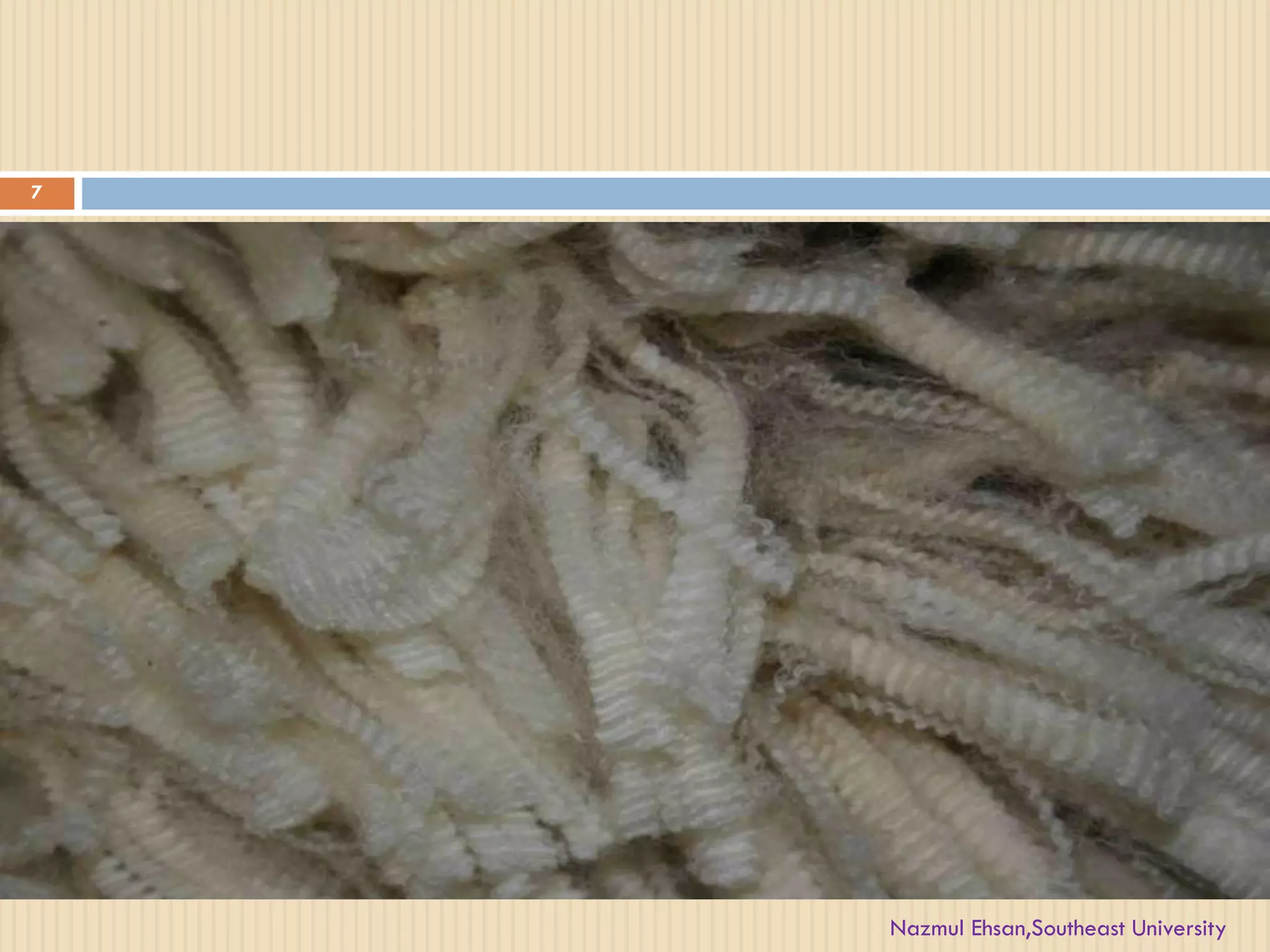 7
Nazmul Ehsan,Southeast University
 