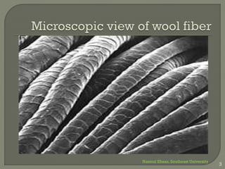 Wool fiber 