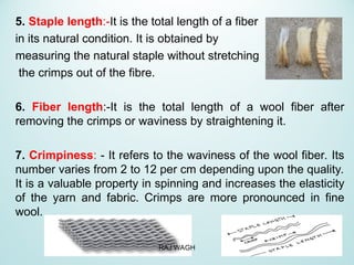 5. Staple length:-It is the total length of a fiber
in its natural condition. It is obtained by
measuring the natural staple without stretching
the crimps out of the fibre.
6. Fiber length:-It is the total length of a wool fiber after
removing the crimps or waviness by straightening it.
7. Crimpiness: - It refers to the waviness of the wool fiber. Its
number varies from 2 to 12 per cm depending upon the quality.
It is a valuable property in spinning and increases the elasticity
of the yarn and fabric. Crimps are more pronounced in fine
wool.
RAJ WAGH
 
