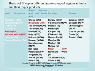 North Temperate
North- Western
Arid and Semi-
Arid
Southern Eastern
Bhakarwal (CW)
Changthangi (CW)
Gaddi (CW)
Gurez (CW)
Kamah (AW)
Kashmir Merino (AW)
Poonchi (CW)
Rampur Bushair (CW)
Chokla (CW)
Hissardale (AW)
Jaisalmeri (MCW)
Jalauni (MCW)
Kheri (MCW)
Magra (CW)
Malpura (MCW)
Marwari (MCW)
Muzaffarnagari
(MCW)
Nali (CW)
Patanwadi (CW)
Pugal (MCW)
Sonadi (MCW)
Munjal (M)
Bellary (MCW)
Coimbatore (MCW)
Daccani (M)
Hassan (M)
Kanguri (M)
Kilakarsal (M)
Madras Red(M)
Mandya (M)
Mecheri (M)
Nellore (M)
Nilgiri (AW)
Rammand White
(M)
Tiruchy Black(M)
Vembur (M)
Balangir (MCW)
Bonpala (MCW)
Chottanagpuri
(MCW)
Ganjam (MCW)
Garole (M)
Tibetan (CW)
Source: Arora, et al. 2007 (AW)-Apparel wool; (CW)-Carpet wool;
(MCW)-Mutton and Carpet wool; (M)- Mutton
Breeds of Sheep in different agro-ecological regions in India
and their major products
RAJ WAGH
 