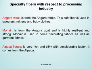 Specialty fibers with respect to processing
industry
Angora wool: is from the Angora rabbit. This soft fiber is used in
sweaters, mittens and baby clothes.
Mohair: is from the Angora goat and is highly resilient and
strong. Mohair is used in home decorating fabrics as well as
garment fabrics.
Alpaca fleece: is very rich and silky with considerable luster. It
comes from the Alpaca.
RAJ WAGH
 