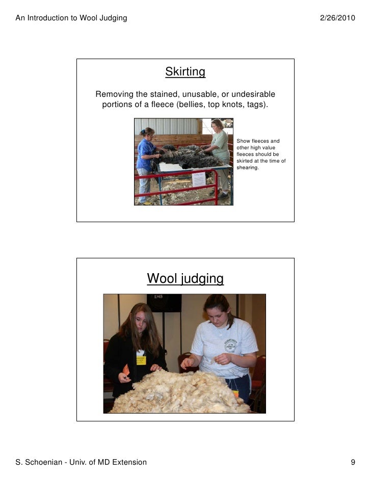 Wool Judging