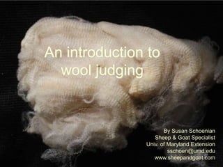 An introduction to wool judging Susan SchoenianSheep & Goat SpecialistUniv. of Maryland Extensionsschoen@umd.eduwww.sheepandgoat.com 