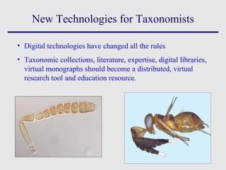 • Digital technologies have changed all the rules
• Taxonomic collections, literature, expertise, digital libraries,
virtual monographs should become a distributed, virtual
research tool and education resource.
New Technologies for Taxonomists
 
