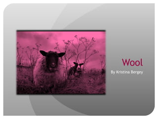 Wool By Kristina Bergey 