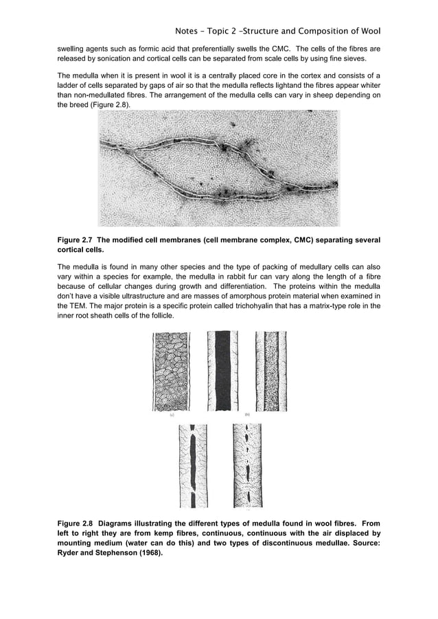 WOOl fibre morphology and structure.pdf for textiles | PDF