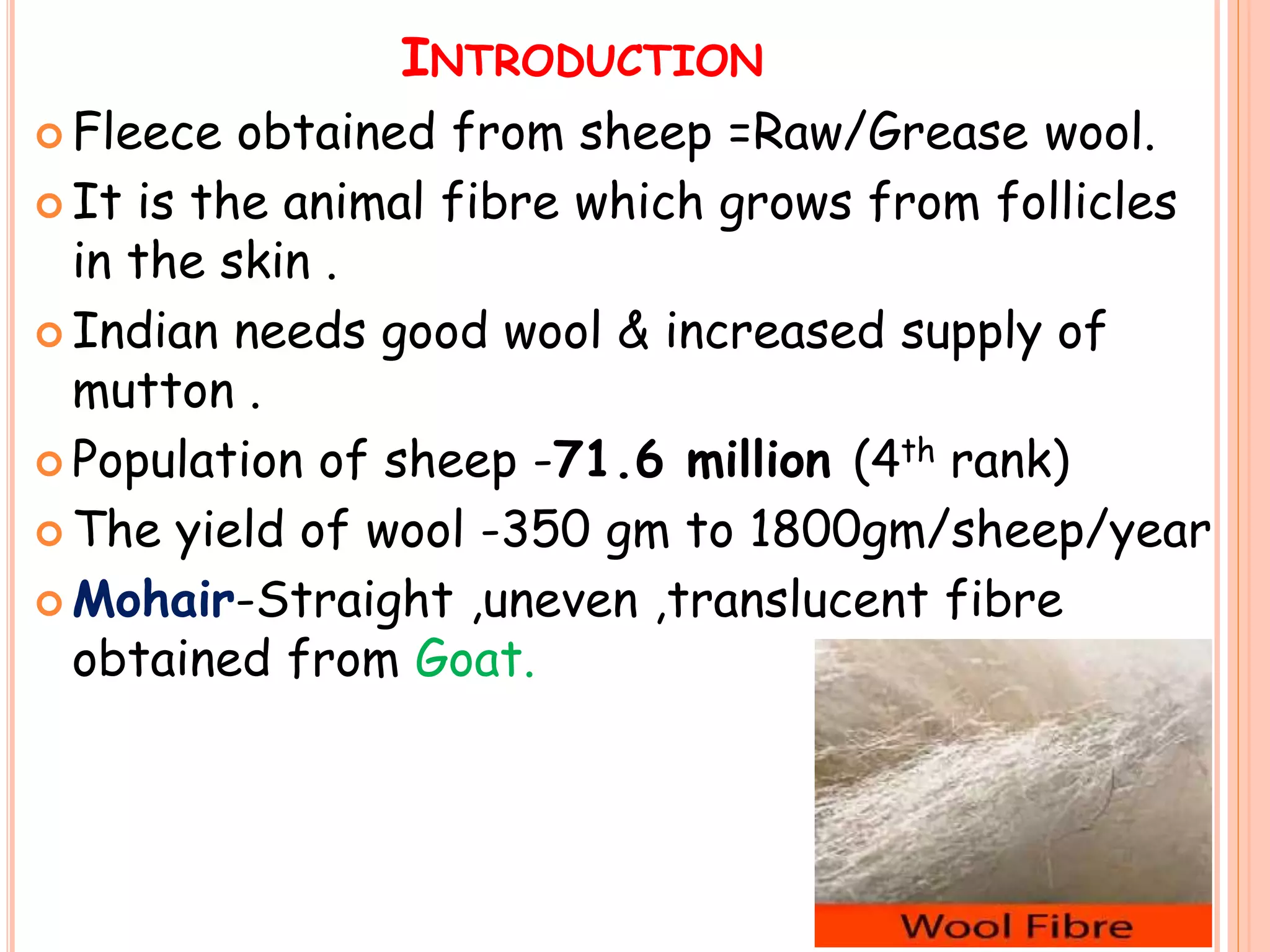 Wool Fibre | PPTX