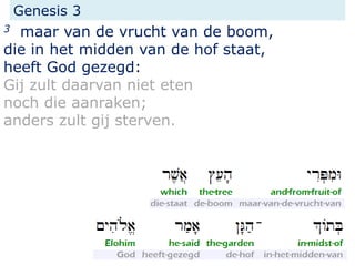 Genesis 3
3 maar van de vrucht van de boom,
die in het midden van de hof staat,
heeft God gezegd:
Gij zult daarvan niet eten
noch die aanraken;
anders zult gij sterven.
 
