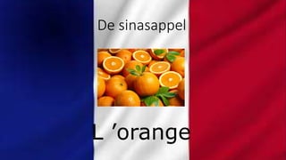 De sinasappel
L ’orange
 