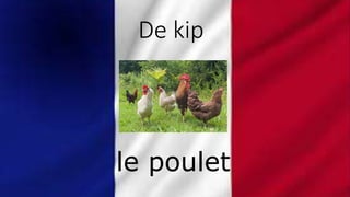 De kip
le poulet
 
