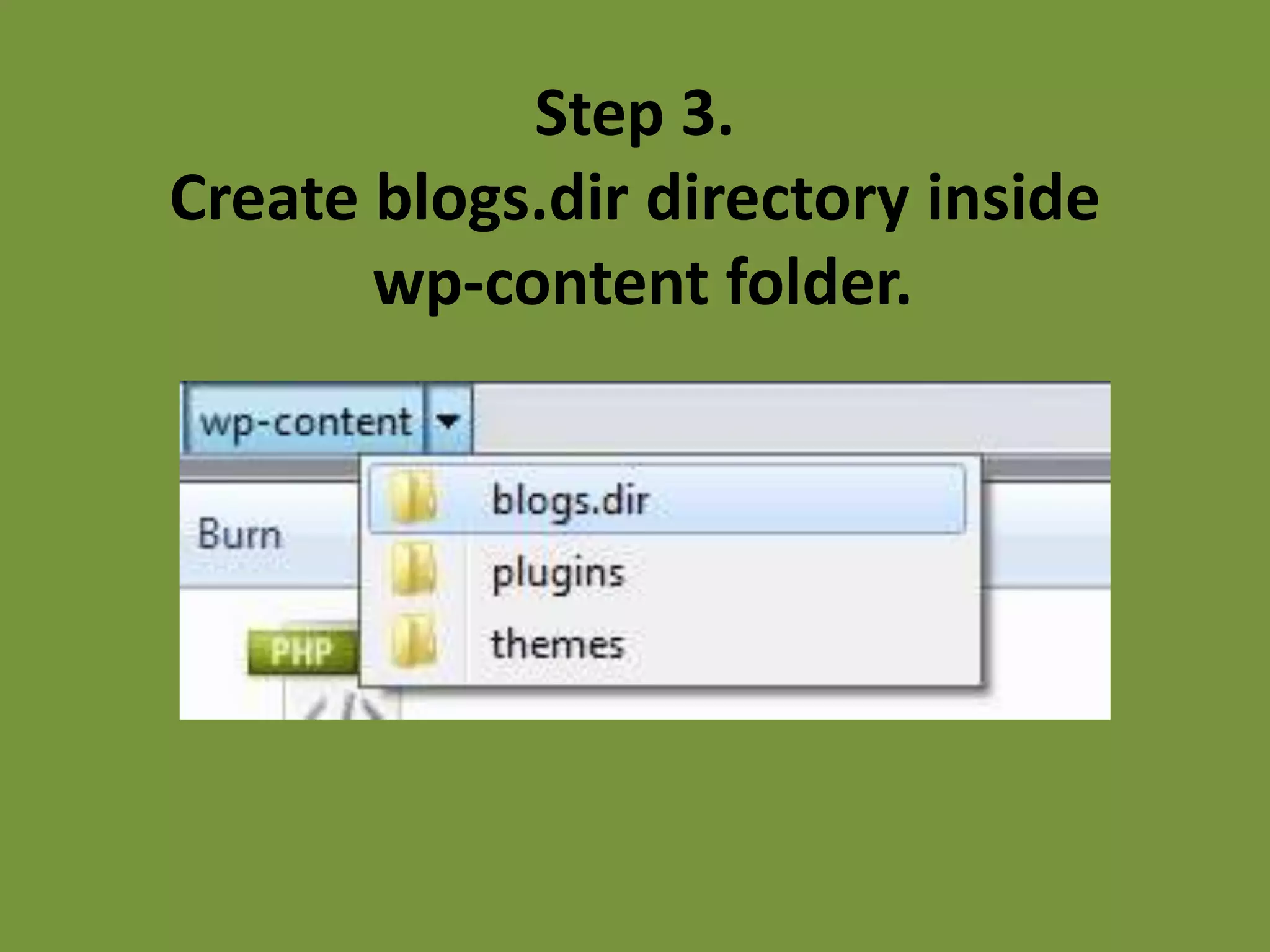 Step 3.
Create blogs.dir directory inside
       wp-content folder.
 
