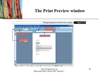 The Print Preview window 