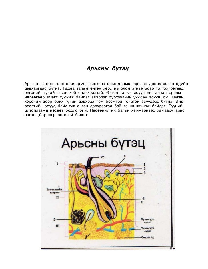 цахим хэрэглэгдэхүүн Word