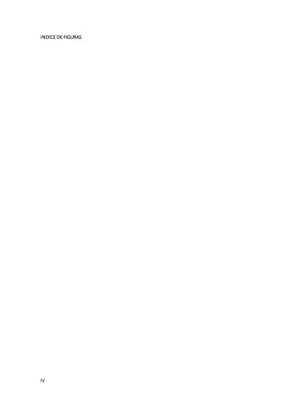 IV
INDICE DE FIGURAS
 