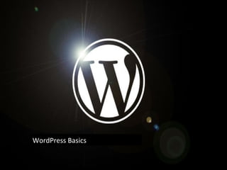 WordPress Basics 