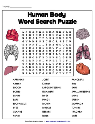 Name: _______________________




                  Human Body
                Word Search Puzzle
                   L   N    C   E    N   X    H     H   R   A   M   E   P    A   S
                   U   I    O   I    N   C    I     I   E   U   U   A   L    E   E
                   N   P    E   S    A   I    B     D   S   A   N   R   E    H   V
                   G   V    D   M    E   S    P     C   N   C   R   S   S    C   R
                   S   T    O   N    S   I    L     S   R   E   M   T   O    A   E
                   D   T    B   E    Y   E    S     E   R   O   P   I   P    R   N
                   S   Y    R   E    T   R    A     S   U   I   F   P   H    T   U
                   S   E    N   I    T   S    E     T   N   I   L   L   A    M   S
                   S   E    N   O    B   F    H     G   S   K   H   L   G    E   N
                   G   L    A   N    D   S    L     W   P   J   I   Y   U    F   I
                   T   N    E   M    A   G    I     L   L   V   O   D   S    P   K
                   L   A    R   G    E   I    N     T   E   S   T   I   N    E   S
                   B   L    O   O    D   U    E     R   E   Q   B   H   N    E   J
                   N   I    A   R    B   F    G     H   N   U   V   Z   V    T   Y

         APPENDIX                             JOINT                                  PANCREAS
         ARTERY                               KIDNEY                                 RIBS
         BLOOD                                LARGE INTESTINE                        SKIN
         BONES                                LIGAMENT                               SMALL INTESTINE
         BRAIN                                LIVER                                  SPINE
         EARS                                 LUNGS                                  SPLEEN
         ESOPHAGUS                            MOUTH                                  STOMACH
         EYES                                 MUSCLE                                 TONSILS
         GLANDS                               NERVES                                 TRACHEA
         HEART                                NOSE                                   VEIN

                       Super Teacher Worksheets -   www.superteacherworksheets.com
 