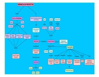 3
La Gerencia y Ciclo de Vida de los Proyectos
 