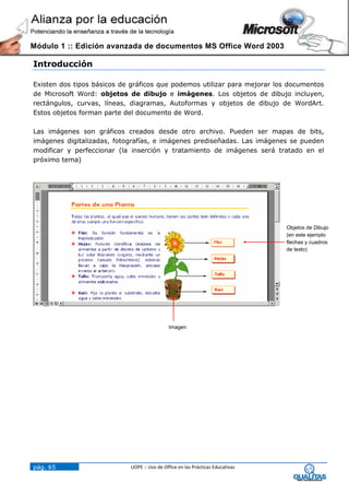 Módulo 1 :: Edición avanzada de documentos MS Office Word 2003

Introducción

Existen dos tipos básicos de gráficos que podemos utilizar para mejorar los documentos
de Microsoft Word: objetos de dibujo e imágenes. Los objetos de dibujo incluyen,
rectángulos, curvas, líneas, diagramas, Autoformas y objetos de dibujo de WordArt.
Estos objetos forman parte del documento de Word.

Las imágenes son gráficos creados desde otro archivo. Pueden ser mapas de bits,
imágenes digitalizadas, fotografías, e imágenes prediseñadas. Las imágenes se pueden
modificar y perfeccionar (la inserción y tratamiento de imágenes será tratado en el
próximo tema)




                                                                                Objetos de Dibujo
                                                                                (en este ejemplo
                                                                                flechas y cuadros
                                                                                de texto)




                                             Imagen




pág. 65                     UOPE :: Uso de Office en las Prácticas Educativas
 