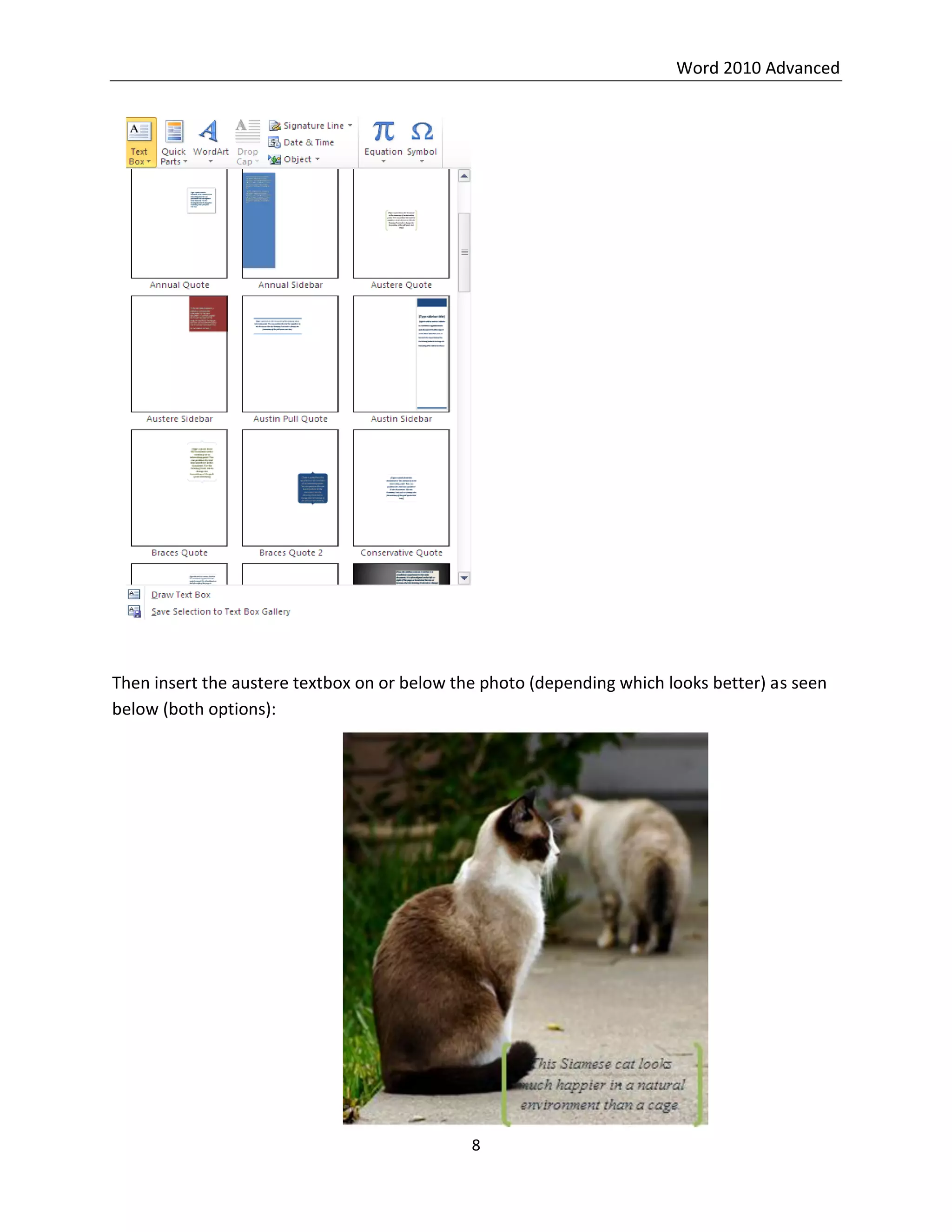 Word 2010 Advanced
8
Then insert the austere textbox on or below the photo (depending which looks better) as seen
below (both options):
 