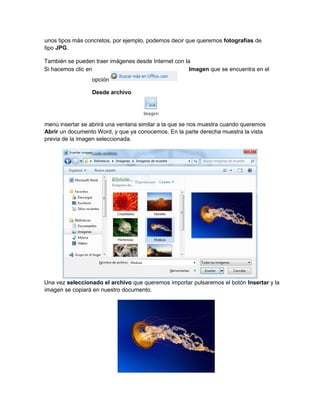 unos tipos más concretos, por ejemplo, podemos decir que queremos fotografías de
tipo JPG.
También se pueden traer imágenes desde Internet con la
Si hacemos clic en Imagen que se encuentra en el
menú insertar se abrirá una ventana similar a la que se nos muestra cuando queremos
Abrir un documento Word, y que ya conocemos. En la parte derecha muestra la vista
previa de la imagen seleccionada.
Una vez seleccionado el archivo que queremos importar pulsaremos el botón Insertar y la
imagen se copiará en nuestro documento.
opción
Desde archivo
 