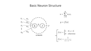 Basic Neuron Structure
 