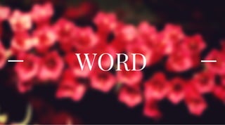 WORD
 