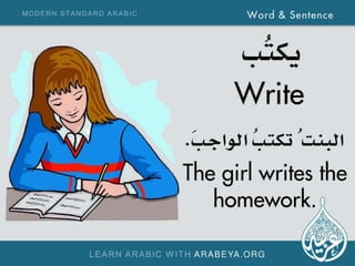 Word and Sentence (Modern Standard Arabic)