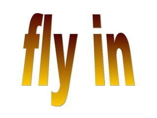 fly in