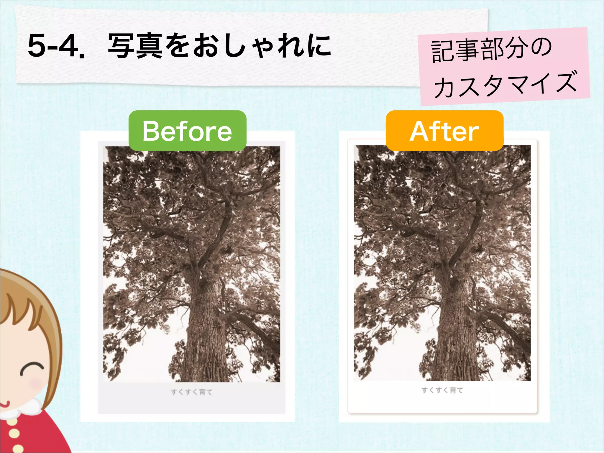 5-4．写真をおしゃれに    記事部分の
                カスタマイズ
    Before     After
 