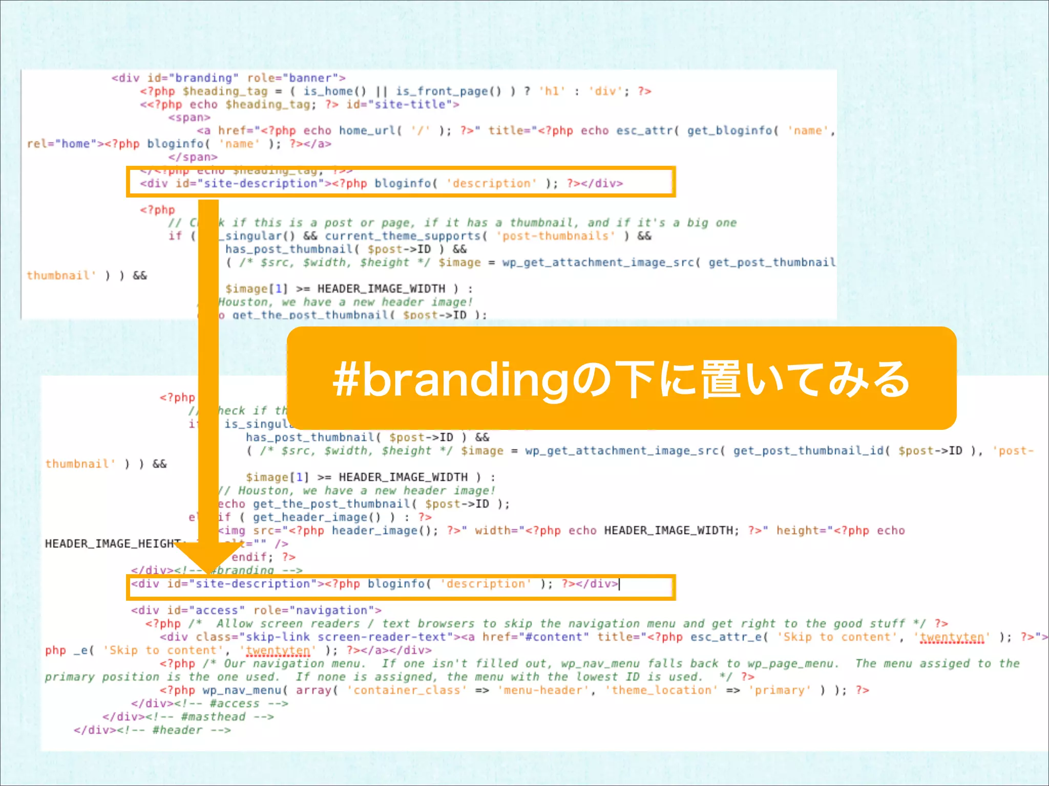 #brandingの下に置いてみる
 