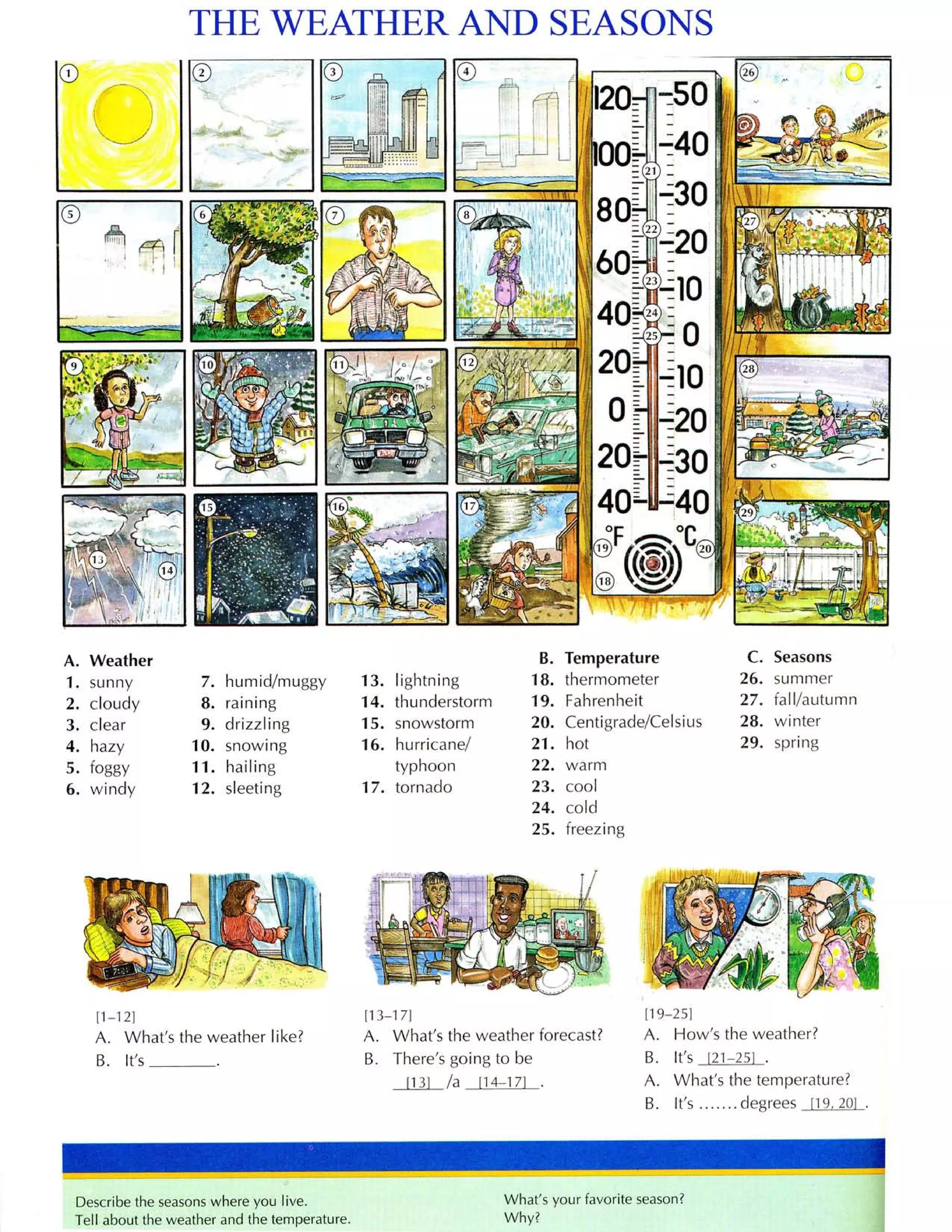 Từ điển tiếng anh bằng hình ảnh