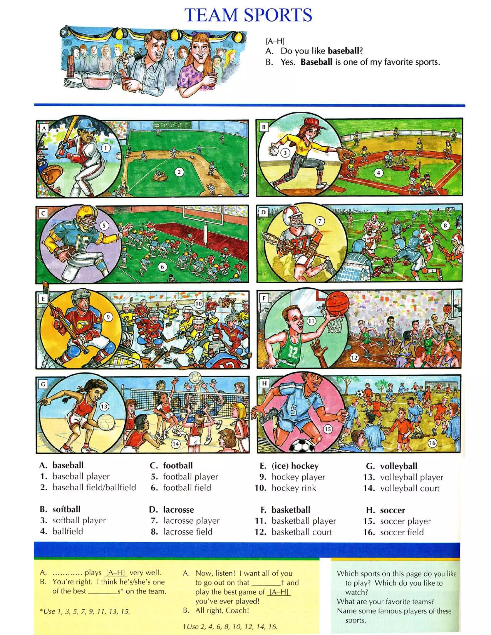 Từ điển tiếng anh bằng hình ảnh