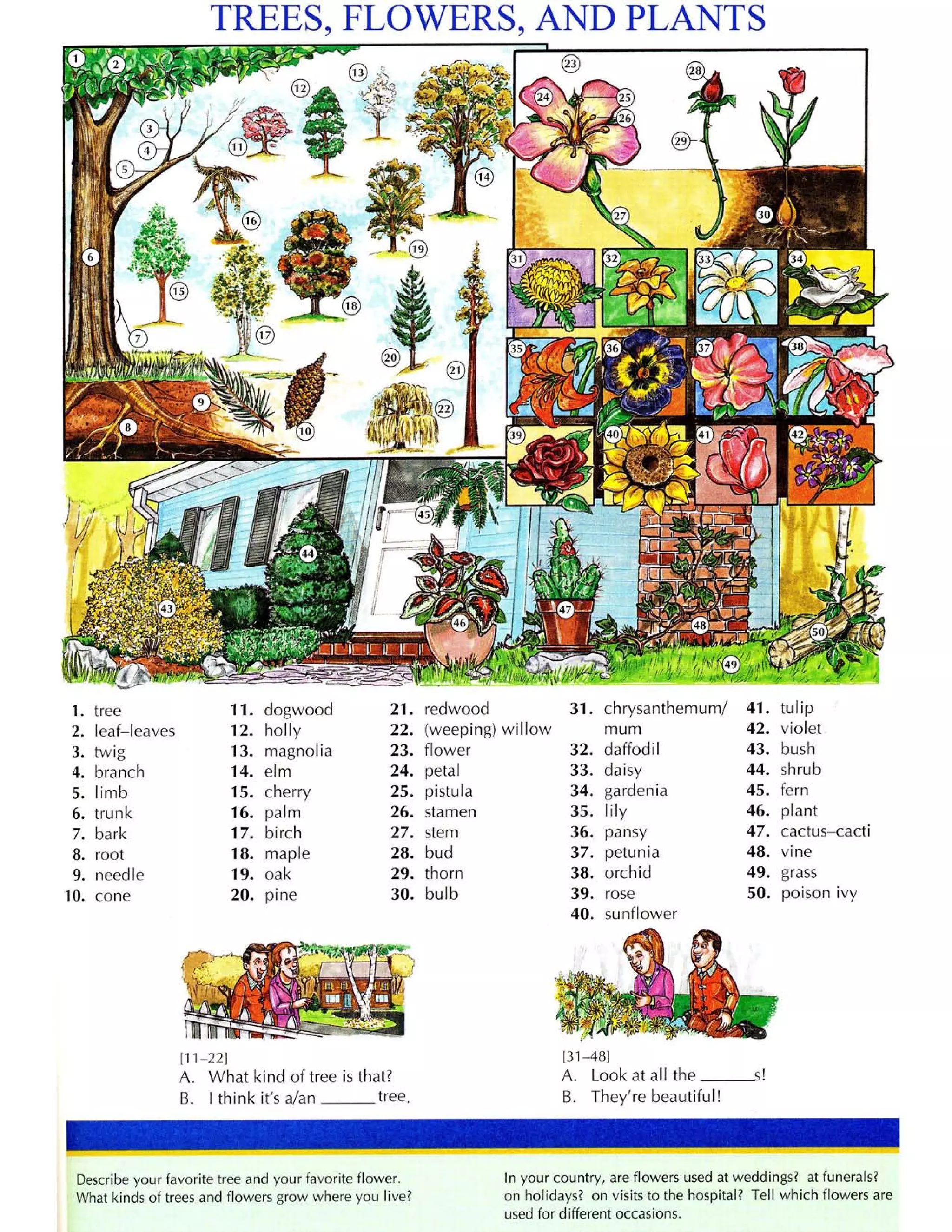 Từ điển tiếng anh bằng hình ảnh