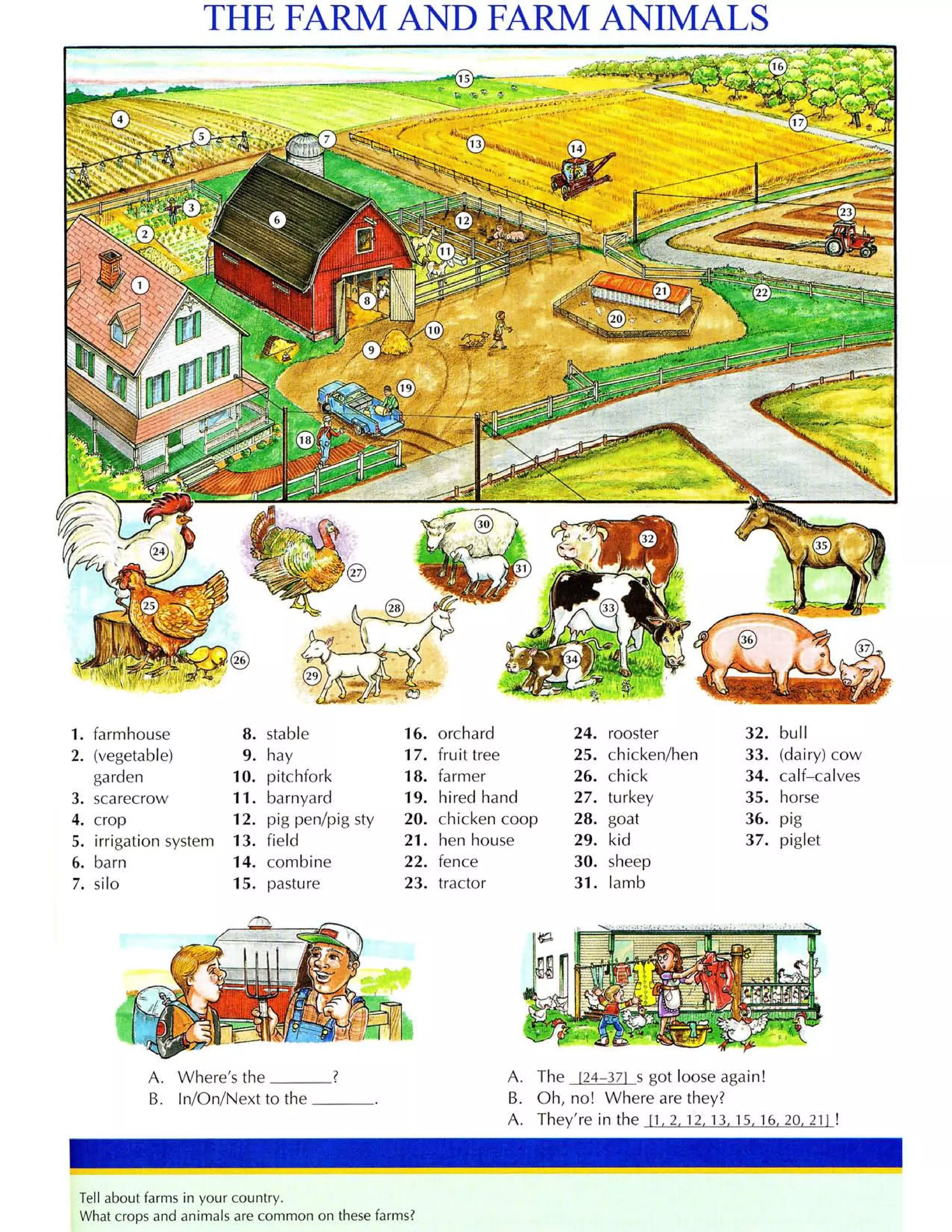 Từ điển tiếng anh bằng hình ảnh