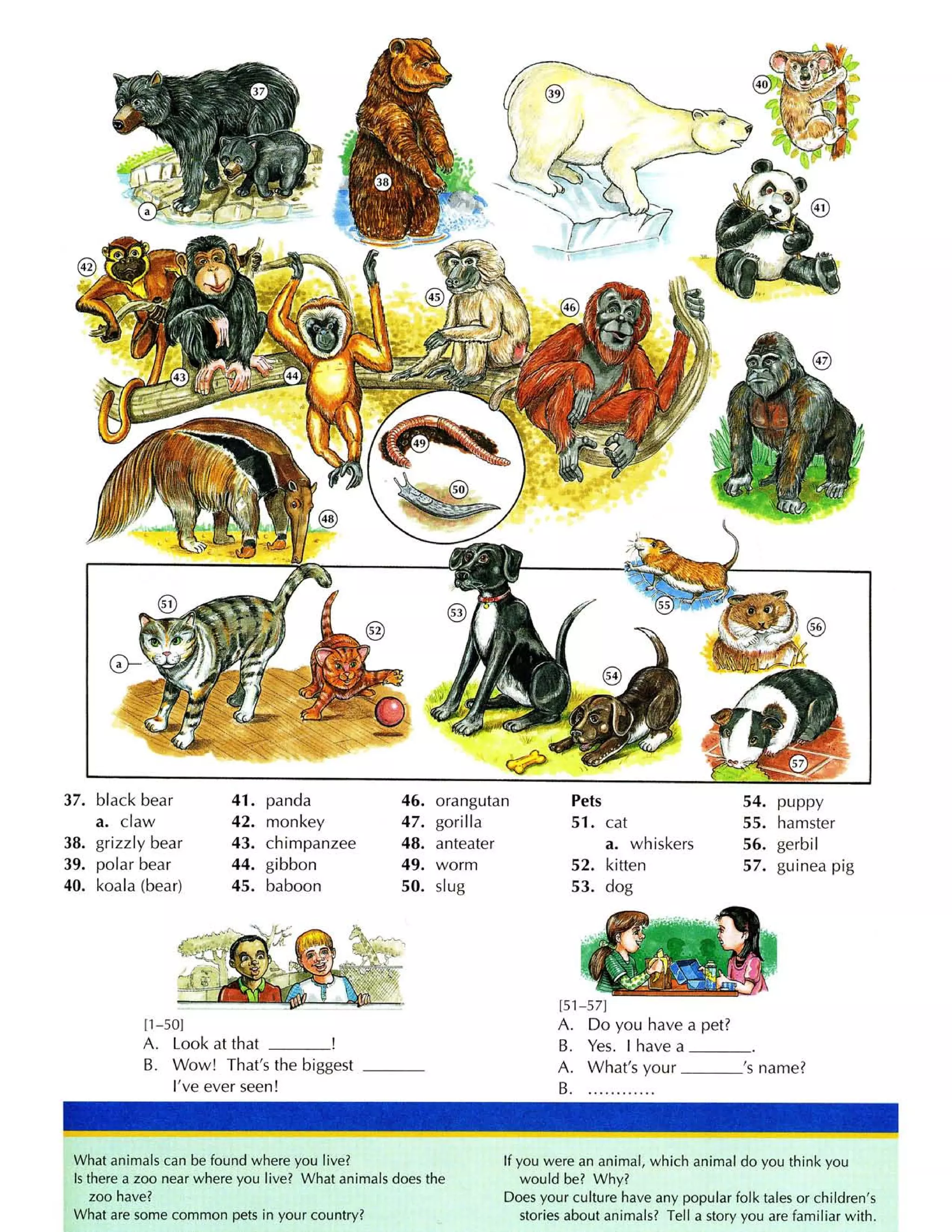 Từ điển tiếng anh bằng hình ảnh