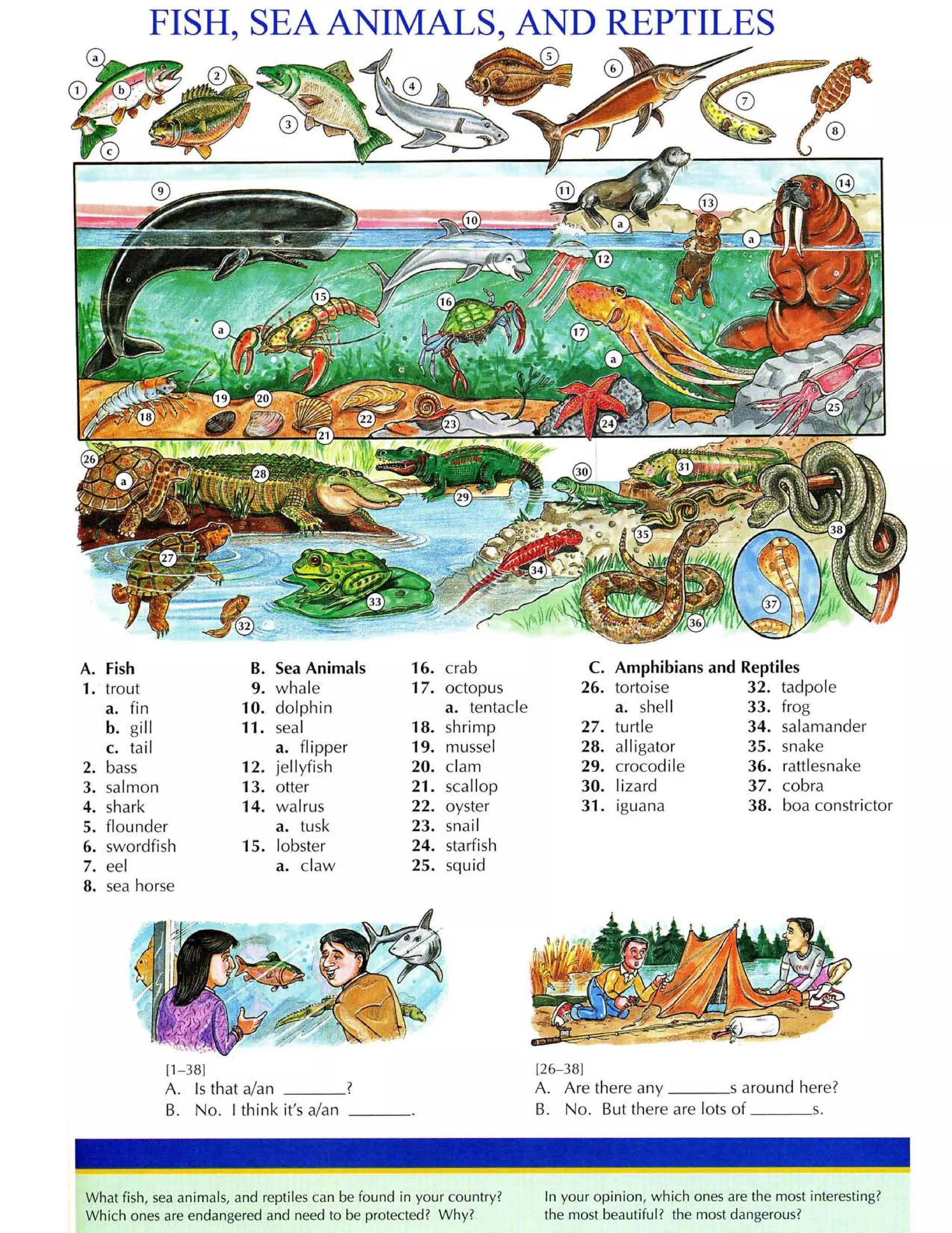 Từ điển tiếng anh bằng hình ảnh