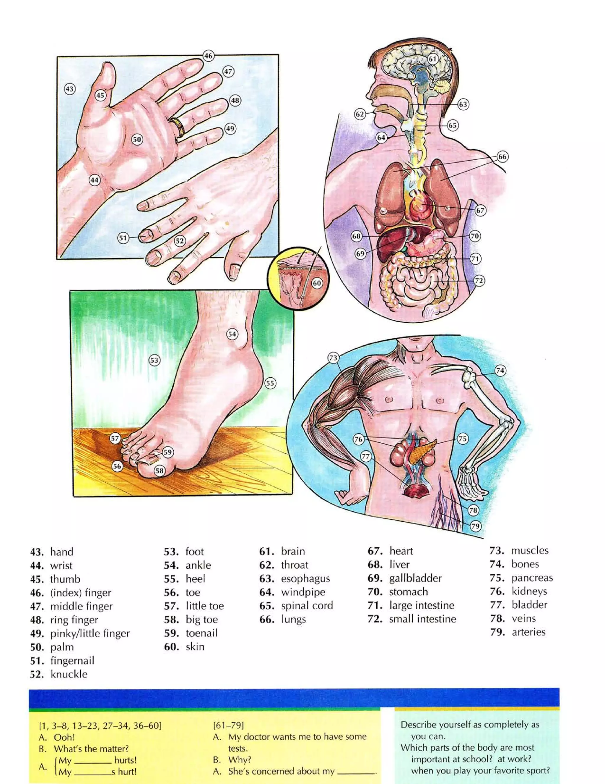 Từ điển tiếng anh bằng hình ảnh
