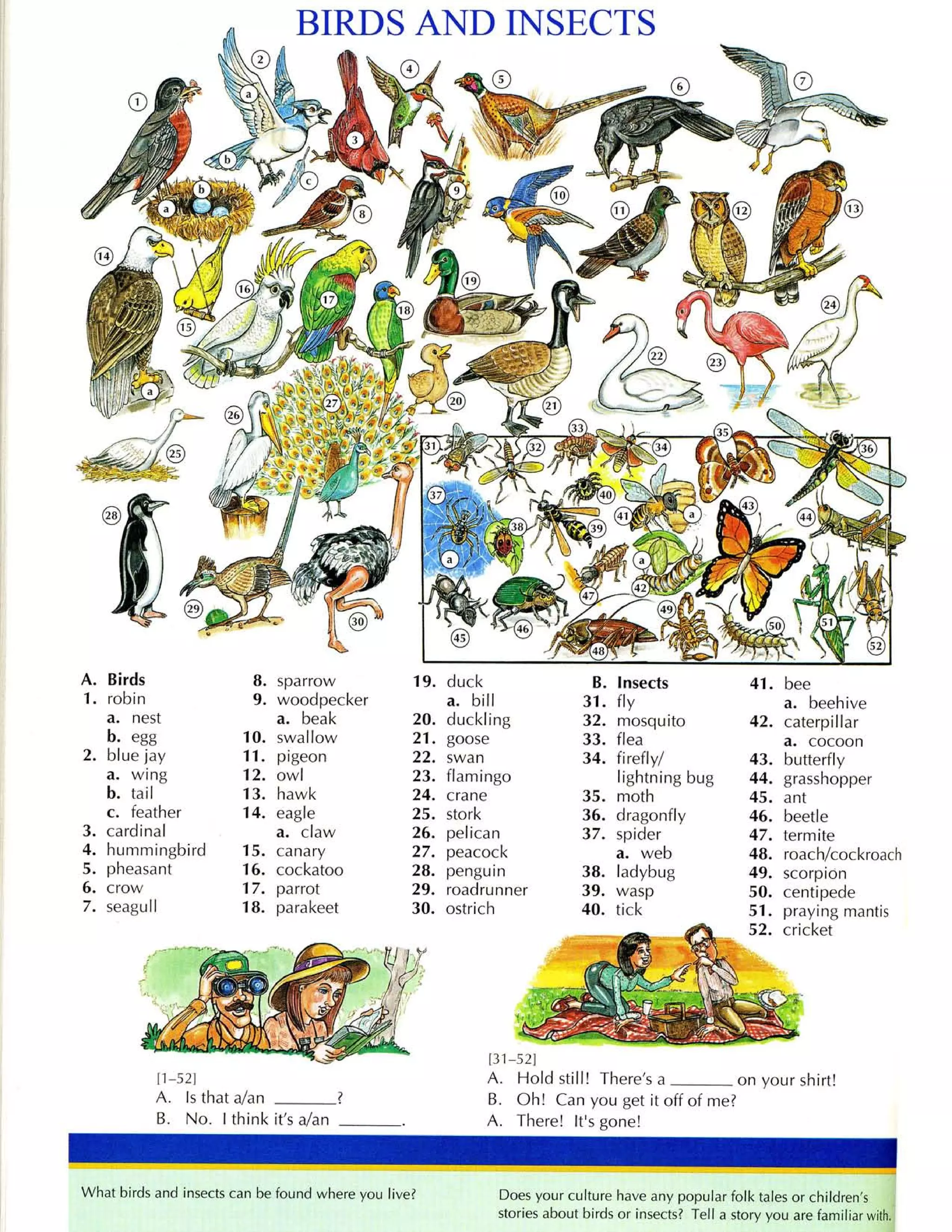 Word by word_-_picture_dictionary