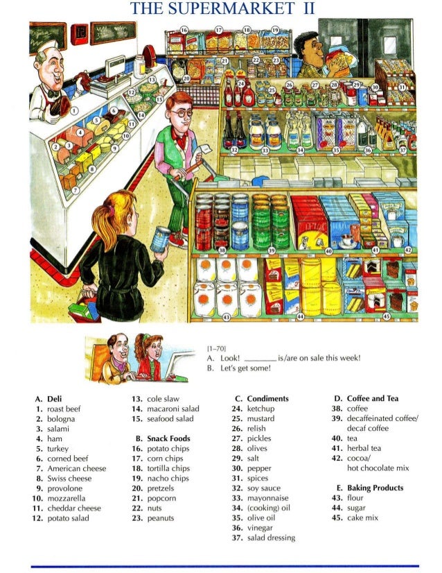 Word By Word picture dictionary
