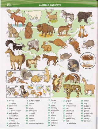 Word by word_picture_dictionary_second_edition_red