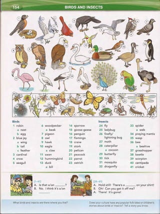 Word by word_picture_dictionary_second_edition_red