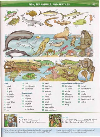 Word by word_picture_dictionary_second_edition_red