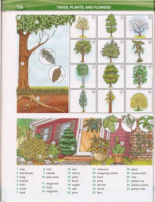 Word by word_picture_dictionary_second_edition_red