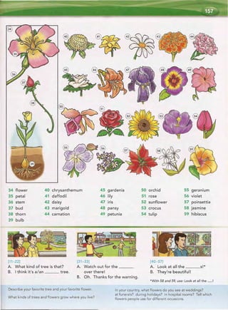 Word by word_picture_dictionary_second_edition_red