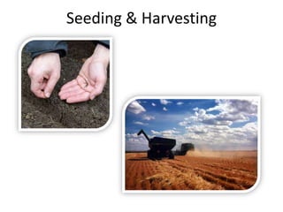 Seeding & Harvesting
 