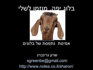 בלוג יפה ,  מוזמן לשלי אמינות  נתפסת של בלוגים שרון גרינברג [email_address] http://www.notes.co.il/sharon/ http://www.flickr.com/photos/cityhunter12/2520752983/ 