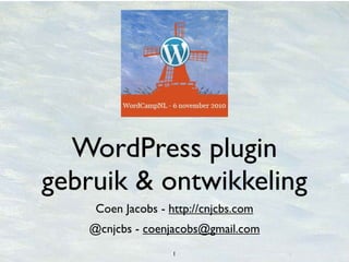 WordCamp NL 2010: Plugin ontwikkeling