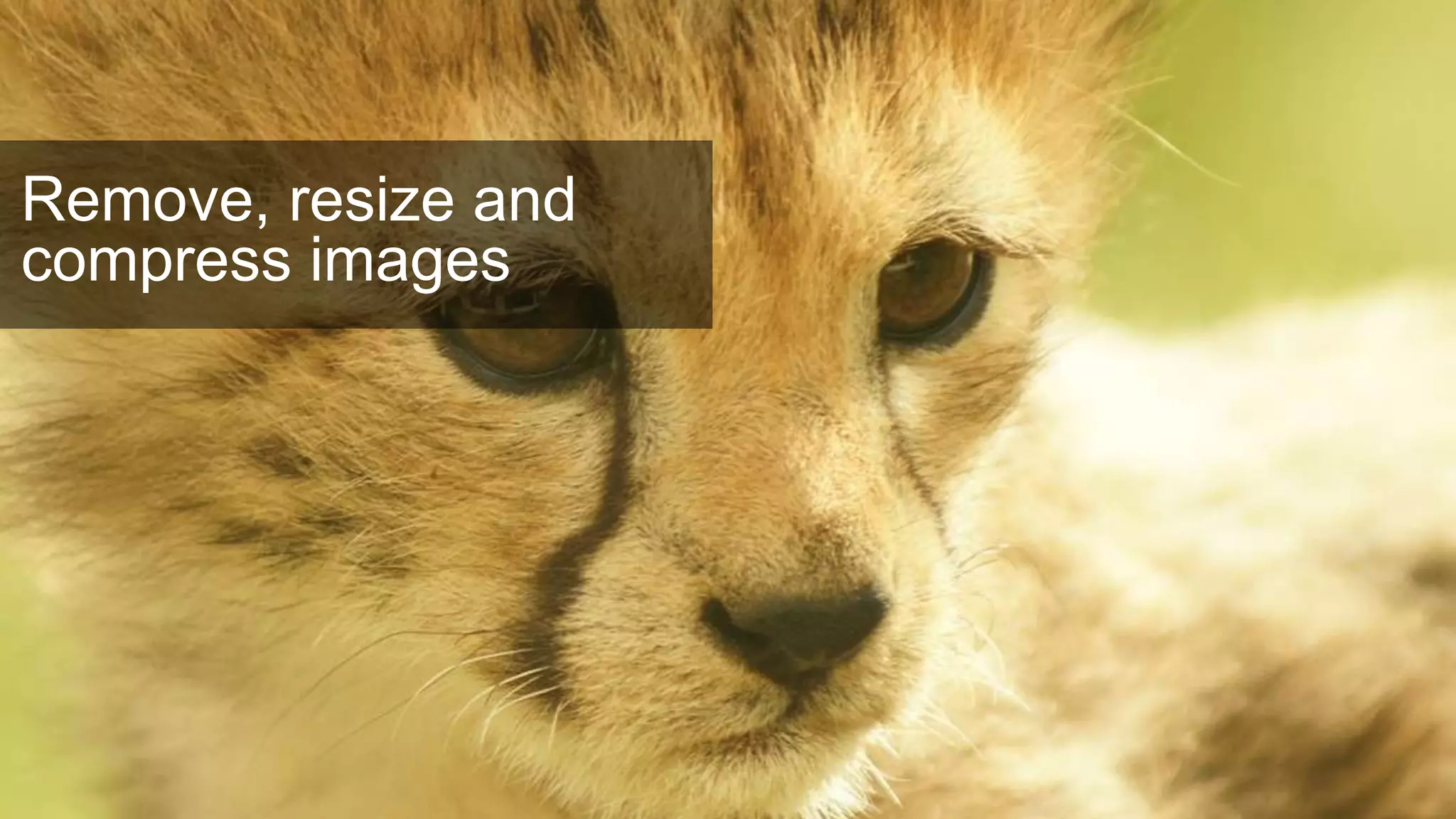 Remove, resize and
compress images
 