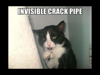 Better Living Through Blogging