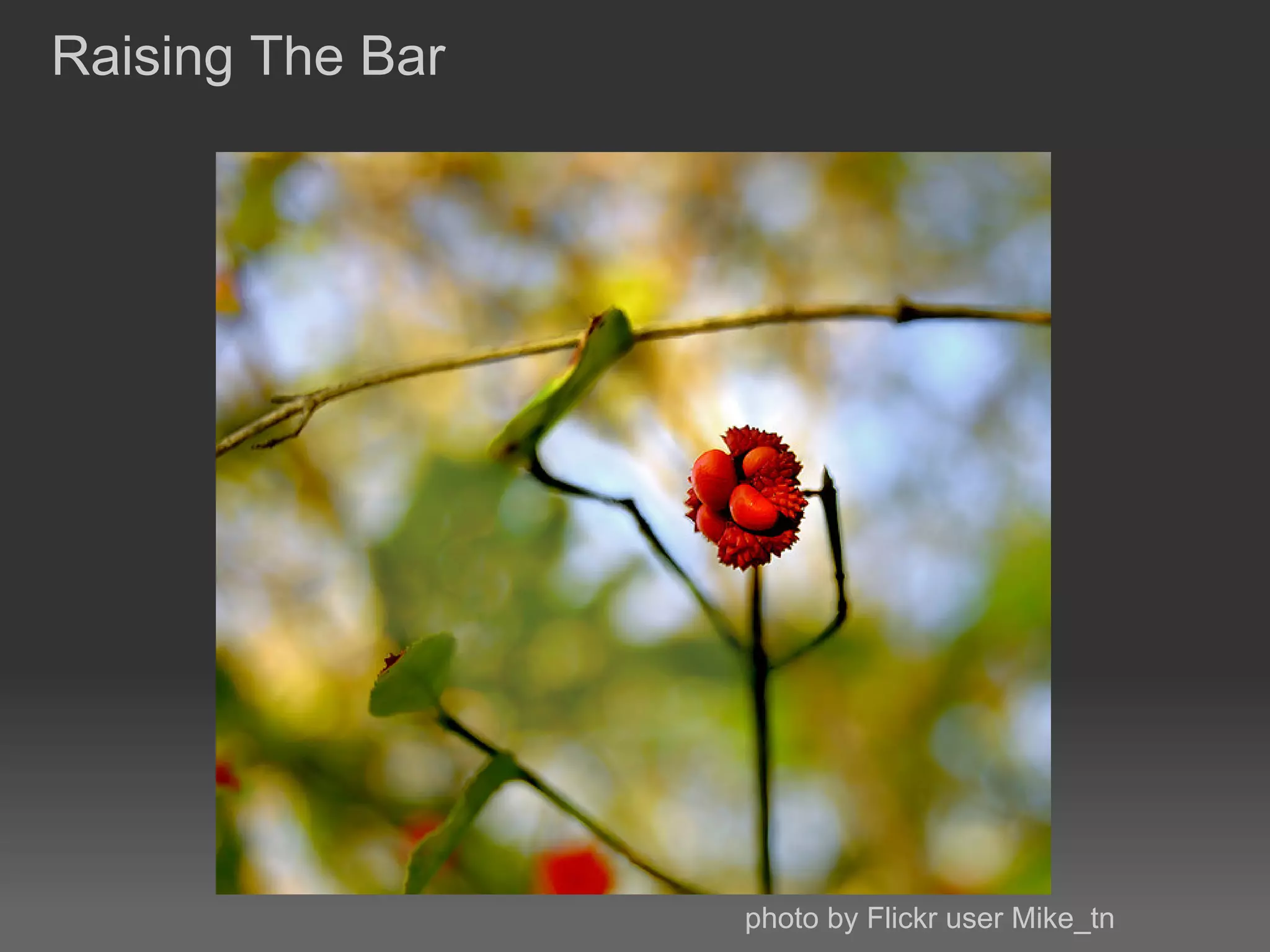 Raising The Bar




                  photo by Flickr user Mike_tn
 